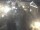 Webcam in Kemerovo, 1560.7 km entfernt