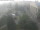 Webcam in Kemerovo, 1241.6 km