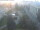 Webcam in Kemerovo, 1499.1 km