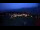 Webcam in La Norma, 0.1 mi away
