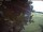 Webcam in Wacken, 18.4 km