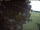 Webcam in Wacken, 15.6 km