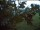 Webcam in Wacken, 5.5 mi away