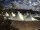 Webcam in Wacken, 15.6 km