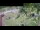 Webcam in Aquileia, 4.2 mi away
