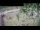Webcam in Aquileia, 12.6 km