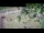 Webcam in Aquileia, 10.9 km