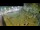 Webcam in Aquileia, 36.7 km