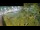 Webcam in Aquileia, 36.7 km entfernt