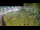 Webcam in Aquileia, 13.5 km