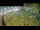 Webcam in Aquileia, 0.4 km