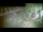 Webcam in Aquileia, 4.2 mi away