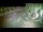 Webcam in Aquileia, 5.2 mi away