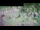 Webcam in Aquileia, 4.2 mi away