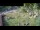Webcam in Aquileia, 12.6 km
