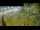 Webcam in Aquileia, 10.9 km entfernt
