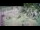 Webcam in Aquileia, 4.2 mi away