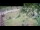 Webcam in Aquileia, 10.9 km
