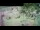 Webcam in Aquileia, 11 km