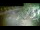 Webcam in Aquileia, 4.2 mi away