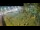 Webcam in Aquileia, 10.8 km entfernt