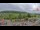Webcam in Forch, 5.3 km