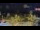 Webcam in Forch, 12.3 km
