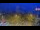 Webcam in Forch, 9.8 km