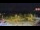 Webcam in Forch, 3.8 mi away