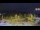 Webcam in Forch, 3.4 mi away
