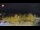 Webcam in Forch, 5.3 km