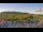Webcam in Forch, 2.7 mi away