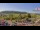 Webcam in Forch, 8.9 km entfernt