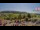 Webcam in Forch, 9.8 km entfernt