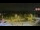 Webcam in Forch, 10 km