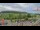 Webcam in Forch, 13.6 km