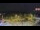 Webcam in Forch, 9.2 km entfernt