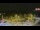 Webcam in Forch, 5.4 mi away