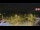 Webcam in Forch, 18.3 km