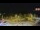 Webcam in Forch, 6.8 km entfernt