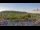 Webcam in Forch, 4 mi away