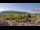 Webcam in Forch, 4.7 mi away