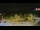 Webcam in Forch, 7.1 mi away