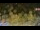 Webcam in Forch, 9.5 km entfernt