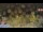 Webcam in Forch, 9.5 km