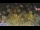 Webcam in Forch, 9.5 km