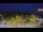 Webcam in Forch, 9.2 km entfernt