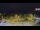 Webcam in Forch, 3.7 mi away
