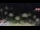 Webcam in Forch, 9.5 km entfernt