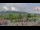 Webcam in Forch, 9.8 km